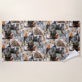 Niedliche Katzen und Kitten Strandtuch