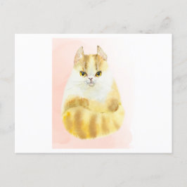 Niedliche Katzenfarbe Postkarte