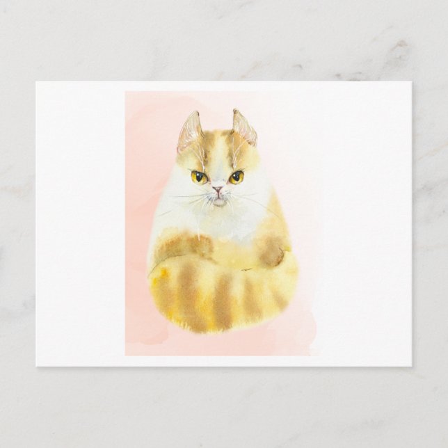 Niedliche Katzenfarbe Postkarte (Vorderseite)