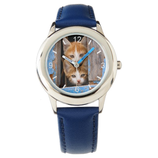Niedliche Katzenkätzchen in blauem Vintagem Fenste Armbanduhr (Vorderseite)