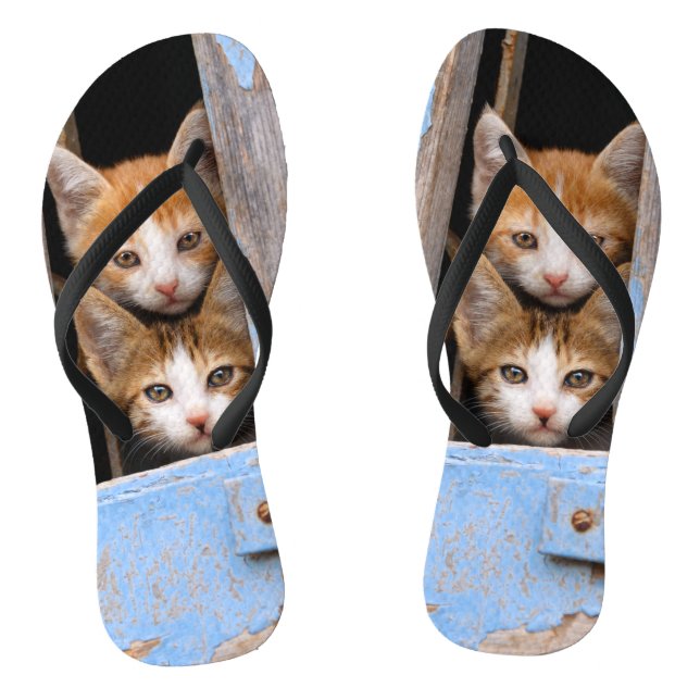 Niedliche Katzenkätzchen in einem Foto mit blauem  Flip Flops (Fußbett)