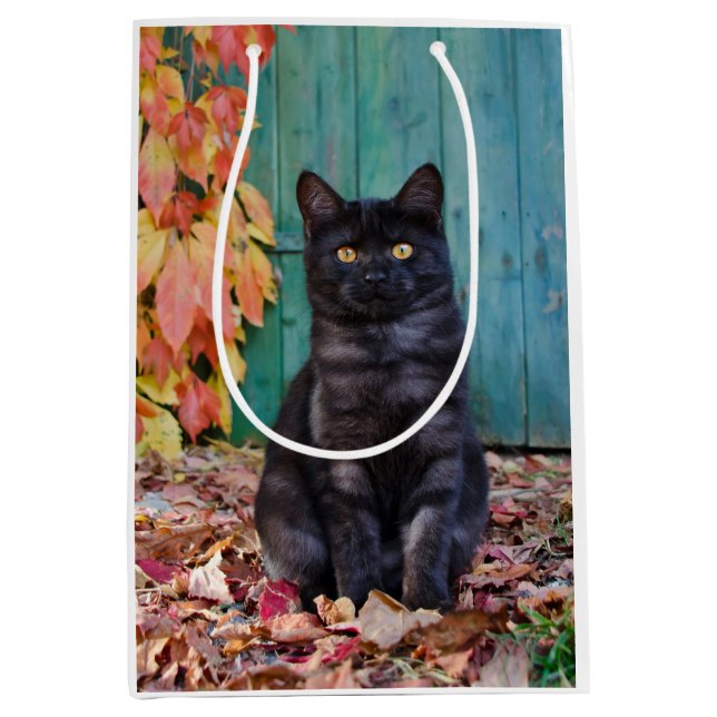 Niedliche Katzenkätzchen mit roten Blätter Blaue T Mittlere Geschenktüte (Vorderseite)