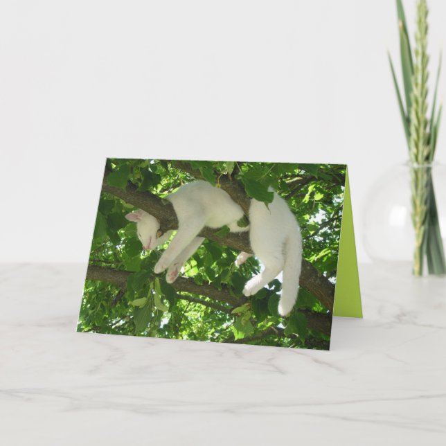 Niedliche Katzenkatze Niedliche individuell anpass Karte (Vorderseite)