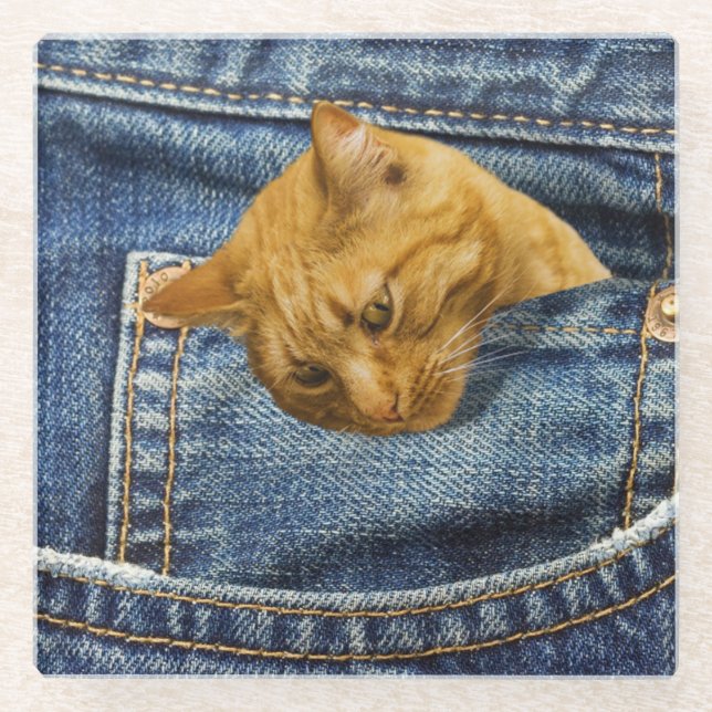 Niedliche Katzenliebhaber Sake-Geschenk Glasuntersetzer (Vorderseite)