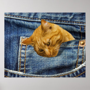 Niedliche Katzenliebhaber Sake-Geschenk Poster