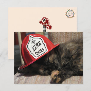Niedliche Katzenpostkarte - Feuerwehrleiter Postkarte