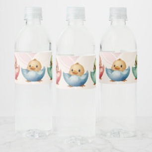 Niedliche Kawaii Eiervögel Pastellfarben Kinderdus