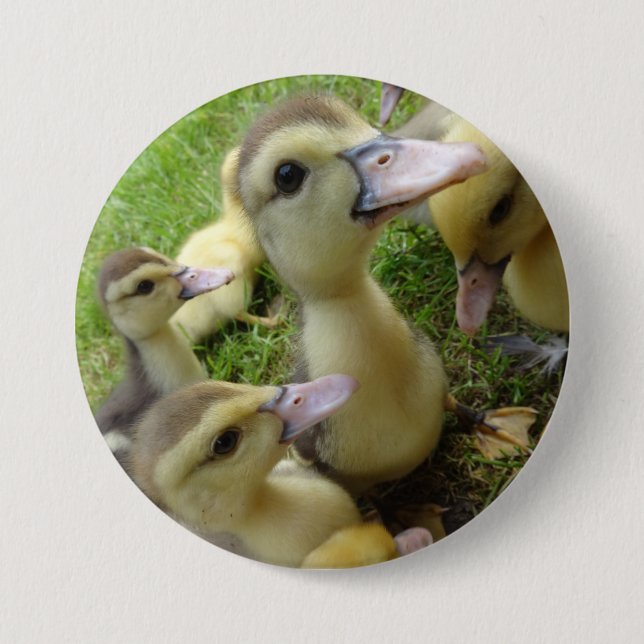 Niedliche Kids Ducklings Baby Ducks Spring Farm Ti Button (Vorderseite)