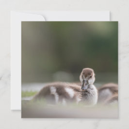 Niedliche Kinderfotokarte