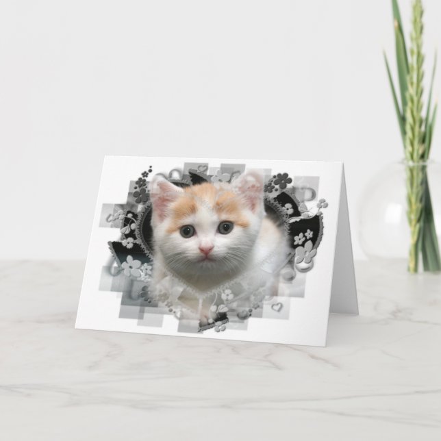 Niedliche Kitten Blank Grußkarte Karte (Vorderseite)