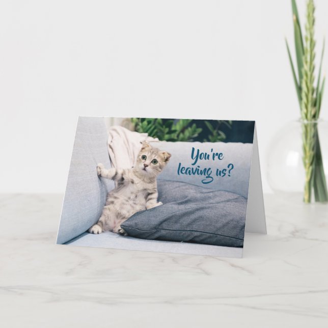 Niedliche Kittenkatzenartete Karte (Vorderseite)
