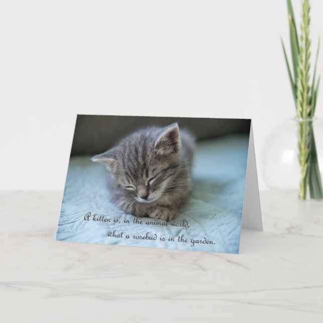Niedliche Kittennotizkarte Ankündigung (Vorderseite)