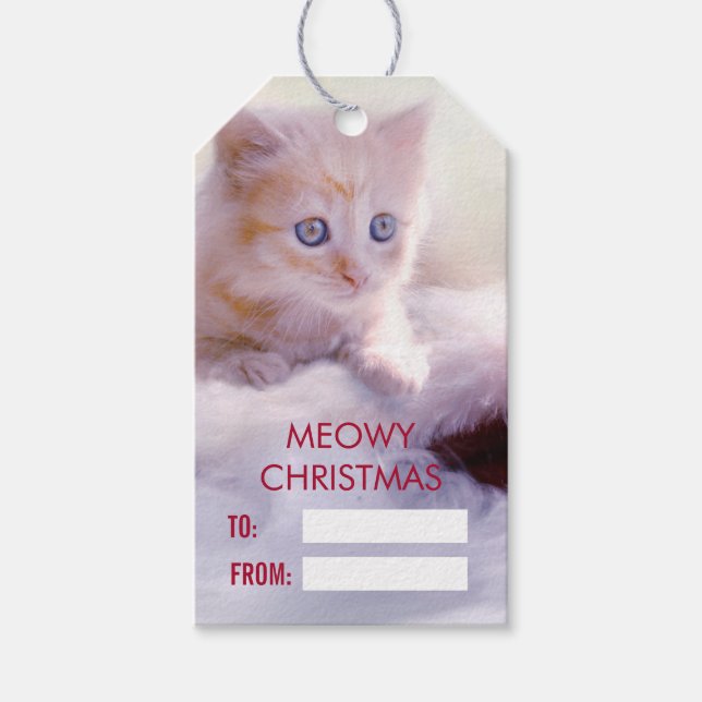 Niedliche Kittenruhe auf einer Weihnachtsmannmütze Geschenkanhänger (Vorderseite)