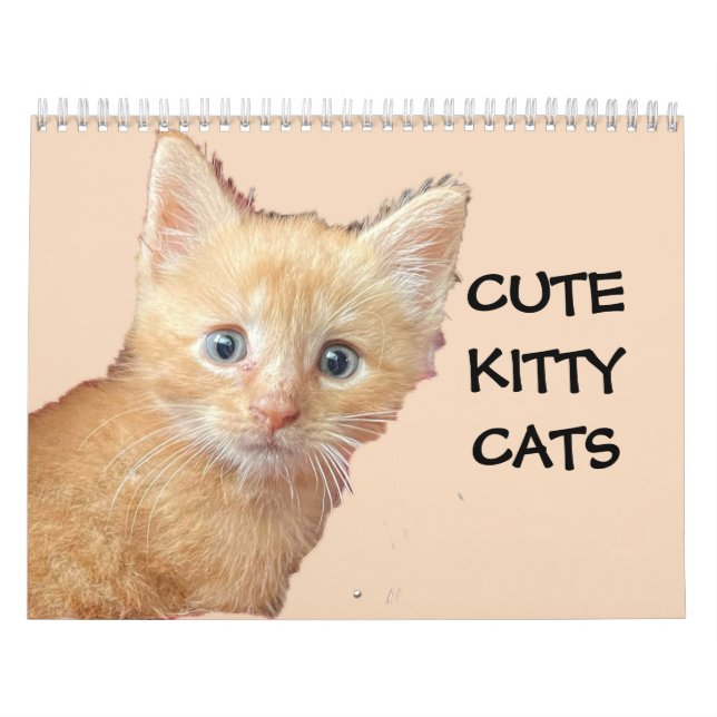 NIEDLICHE KITTIENKATZEN KALENDER (Titelbild)