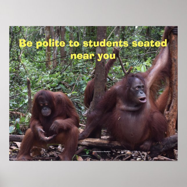 Niedliche Klassenregel Poster (Vorne)