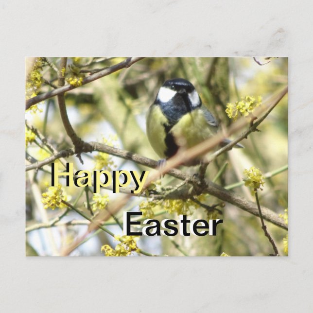 Niedliche kleine Bird Happy Osterpostkarte Postkarte (Vorderseite)