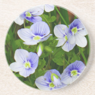 Niedliche, kleine blaue Blumen Getränkeuntersetzer