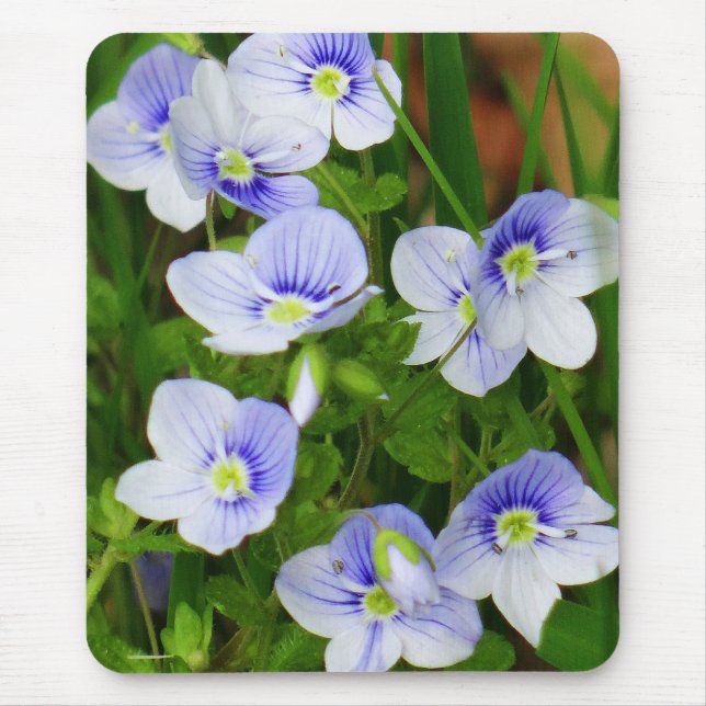Niedliche, kleine blaue Blumen Mousepad (Vorne)