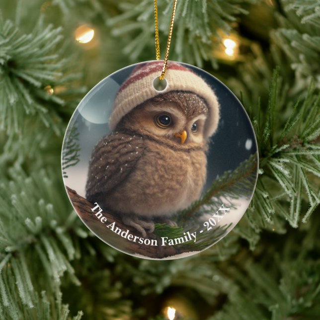 Niedliche kleine Eule über einem schneebedeckten B Keramik Ornament (Baum)