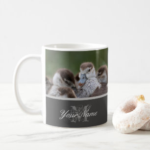 Niedliche kleine Goslings, die als Familie zusamme Kaffeetasse