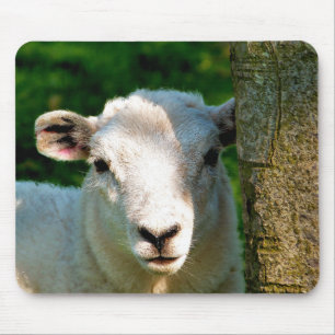 NIEDLICHE KLEINE SCHAFE MOUSEPAD