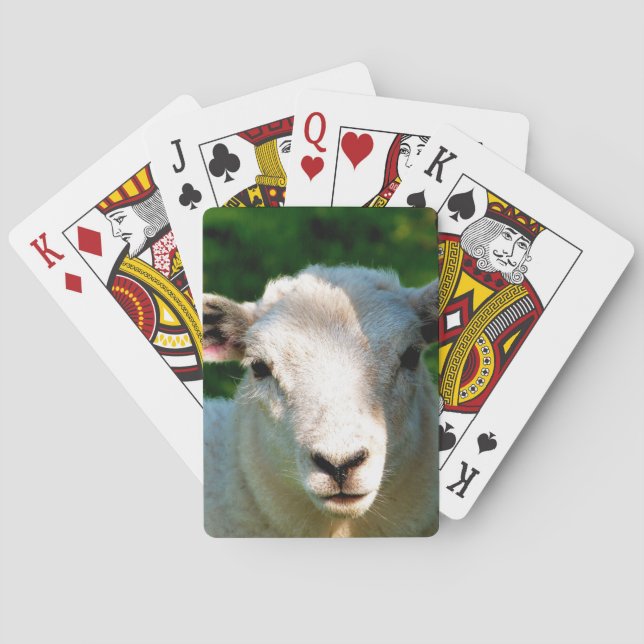 NIEDLICHE KLEINE SCHAFE SPIELKARTEN (Rückseite)
