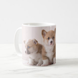 Niedliche Kleintiere 3 Baby Corgis Kaffeetasse