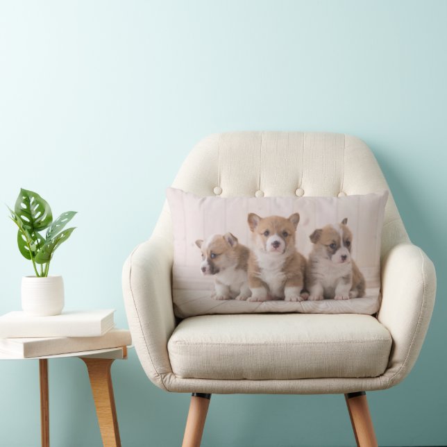 Niedliche Kleintiere | 3 Baby Corgis Lendenkissen (Stuhl )