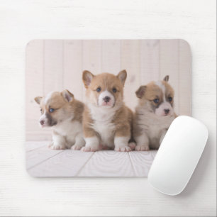 Niedliche Kleintiere 3 Baby Corgis Mousepad