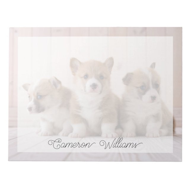 Niedliche Kleintiere | 3 Baby Corgis Notizblock (Vorderseite)