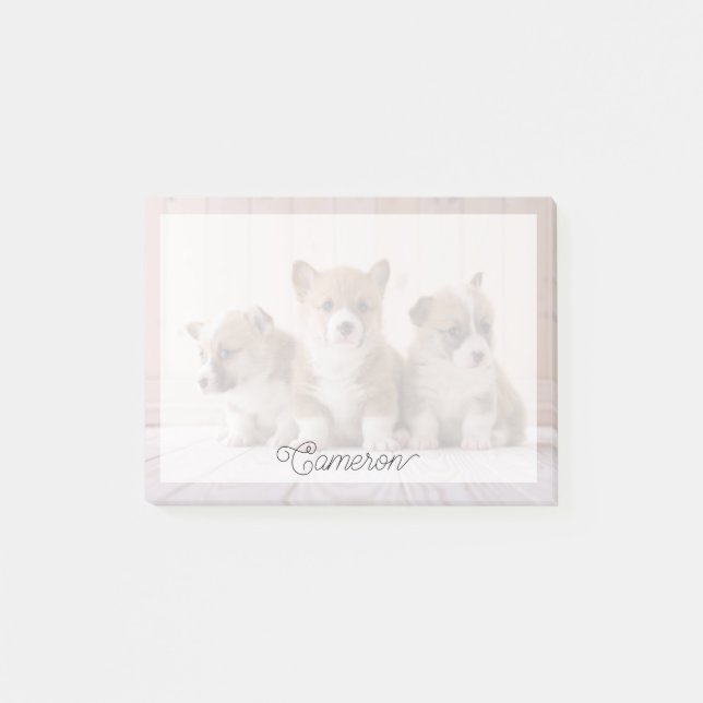 Niedliche Kleintiere | 3 Baby Corgis Post-it Klebezettel (Vorderseite)