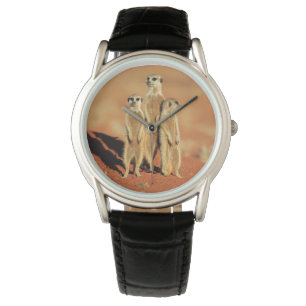 Niedliche Kleintiere   3 Meerkatze Armbanduhr
