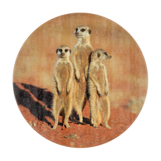 Niedliche Kleintiere | 3 Meerkatze Schneidebrett (Vorderseite)