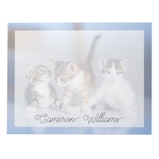 Niedliche Kleintiere | 3 Tabby Kittens Notizblock (Vorderseite)