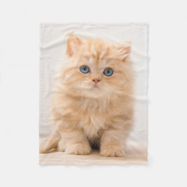 Niedliche Kleintiere | A British Longhair Kitten Fleecedecke (Vorderseite)