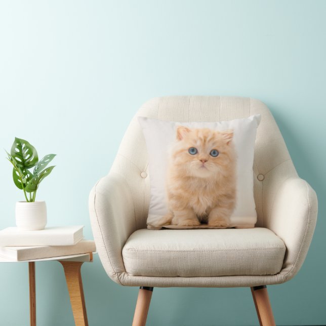 Niedliche Kleintiere | A British Longhair Kitten Kissen (Stuhl )