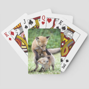 Niedliche Kleintiere Adorable Fox Kit & Mama Spielkarten
