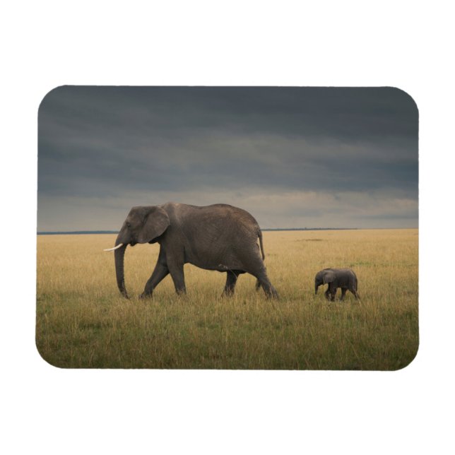 Niedliche Kleintiere | Afrikanische Elefantenfamil Magnet (Horizontal)