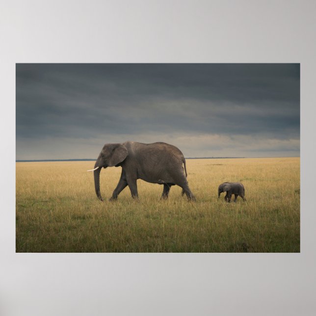 Niedliche Kleintiere | Afrikanische Elefantenfamil Poster (Vorne)