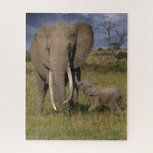 Niedliche Kleintiere | Amama Elefant mit Baby (Vertikal)