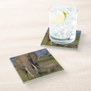 Niedliche Kleintiere Amama Elefant mit Baby Glasuntersetzer