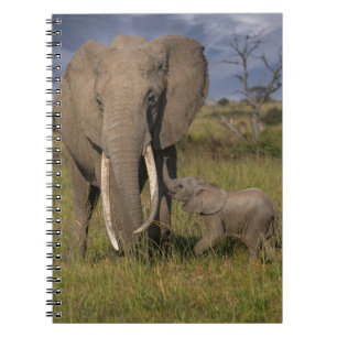 Niedliche Kleintiere Amama Elefant mit Baby Notizblock