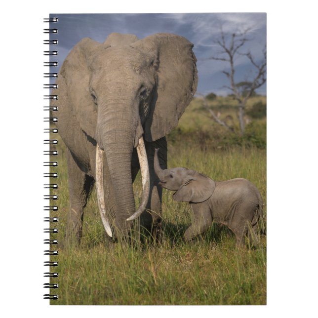 Niedliche Kleintiere | Amama Elefant mit Baby Notizblock (Vorderseite)