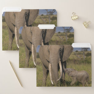 Niedliche Kleintiere   Amama Elefant mit Baby Papiermappe