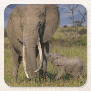 Niedliche Kleintiere Amama Elefant mit Baby Rechteckiger Pappuntersetzer