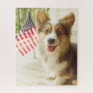 Niedliche Kleintiere American Flag Corgi
