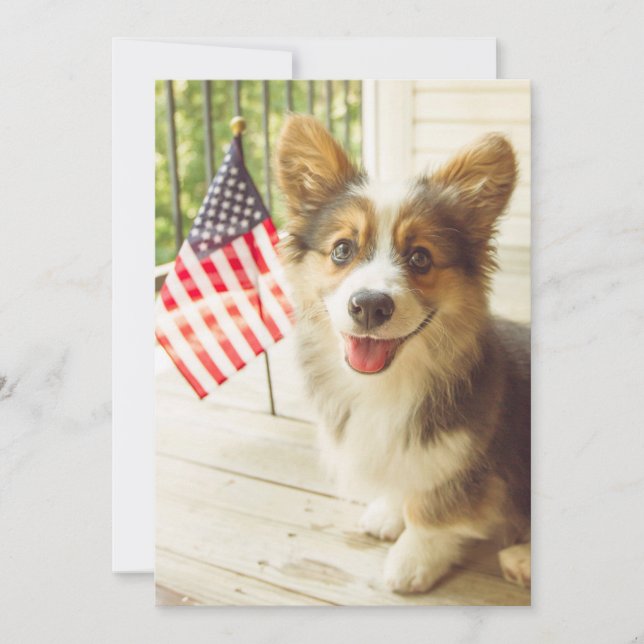 Niedliche Kleintiere | American Flag Corgi Dankeskarte (Vorderseite)
