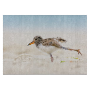 Niedliche Kleintiere American Oystercatcher Chic Schneidebrett
