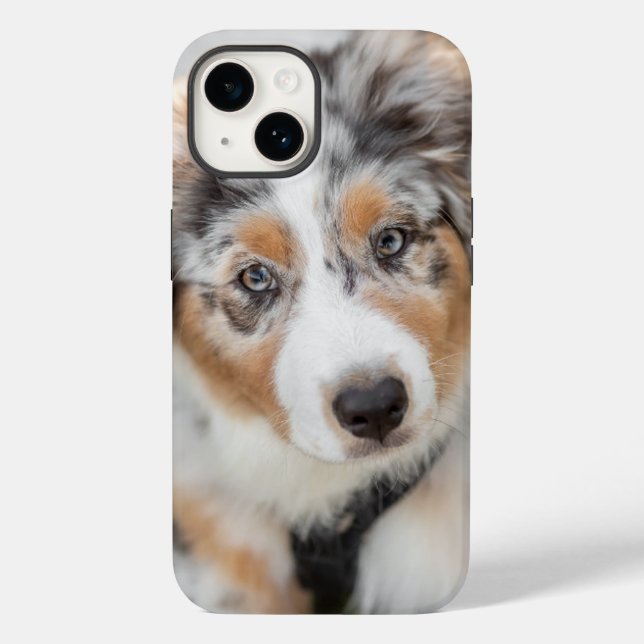 Niedliche Kleintiere | Australian Shepherd Puppy Case-Mate iPhone 14 Hülle (Rückseite)