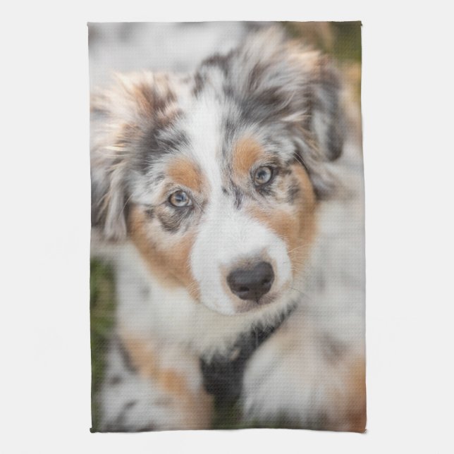 Niedliche Kleintiere | Australian Shepherd Puppy Geschirrtuch (Vertikal)